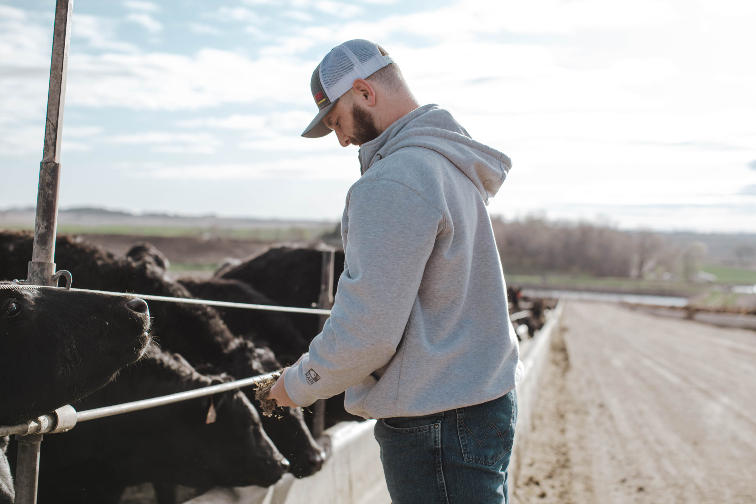 The new animal science minor will be an important addition for Morningside University students interested in studying ag, like this student tending to cattle