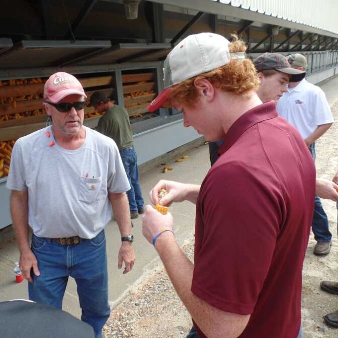 Agriculture student looking at corn