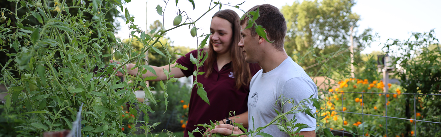 Two students working in an outdoor garden