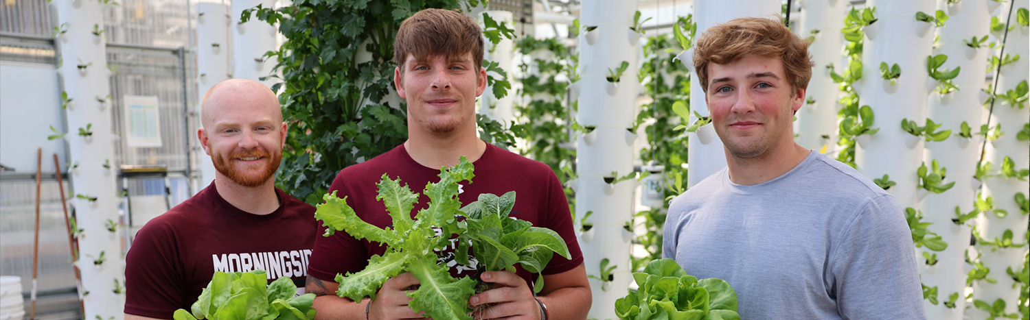 Three students in a greenhouse holding up heads of lettuce