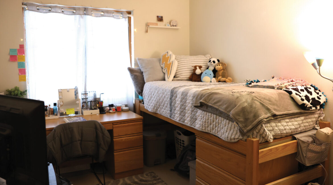 Lags bedroom showing a bed, desk, and chair.