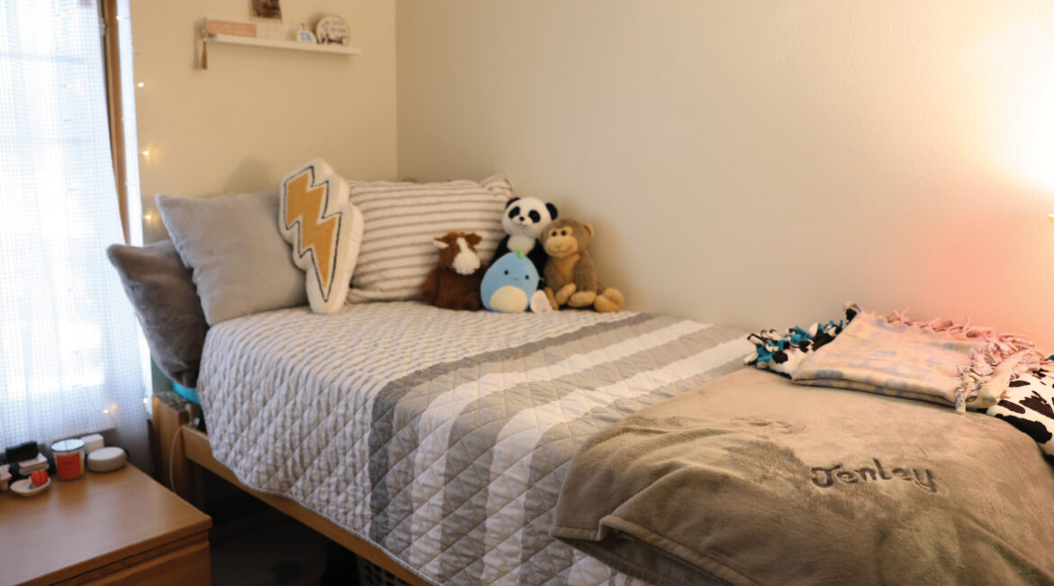 Lags apartment bed