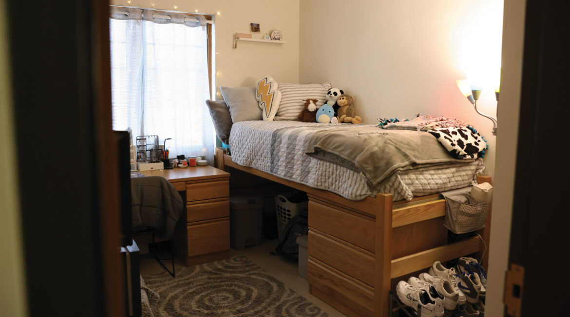 Lags bedroom taken form the doorway showing bed, desk, and chair.