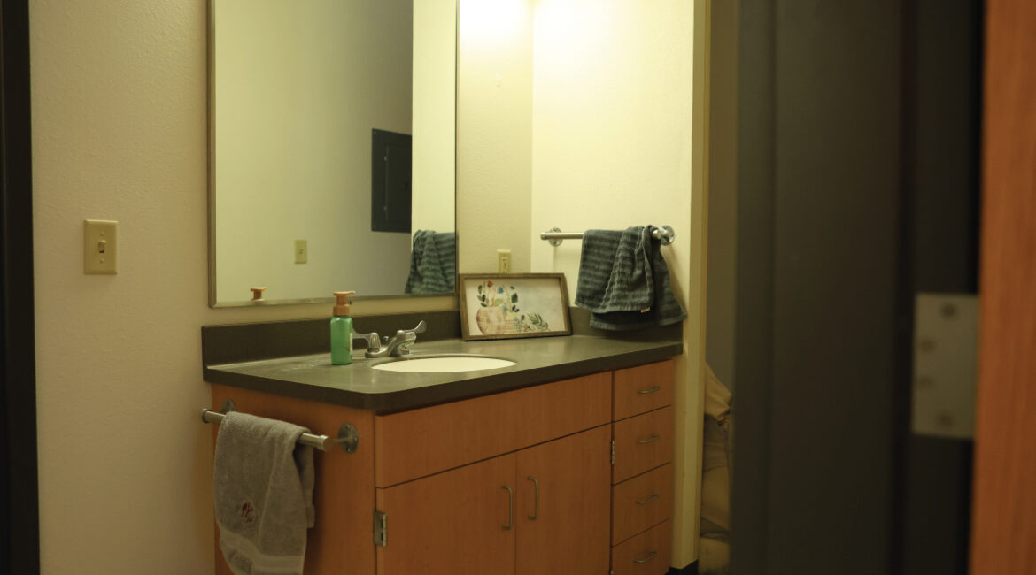 Lags bathroom sink and mirror.
