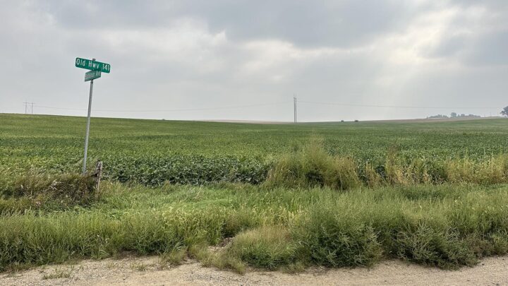 farm picture, green