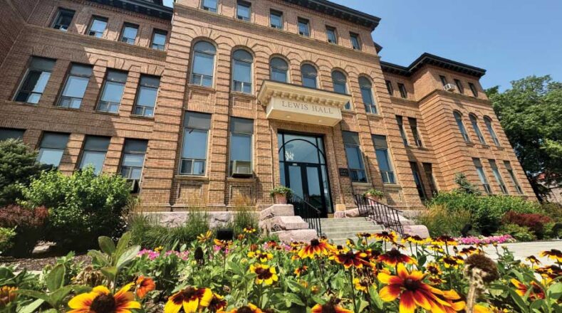 Lewis Hall in the summer with yellow flowers in front.