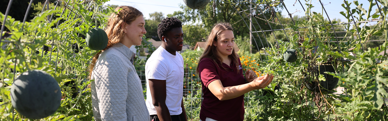A group of students working in the garden