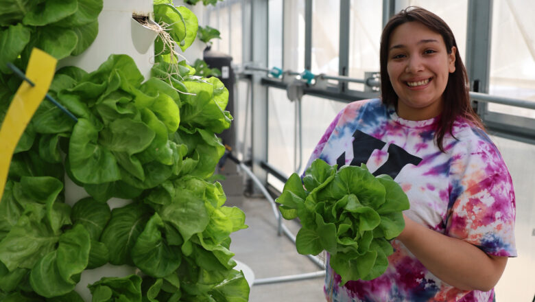 Student in greenhouse holding up a head of lettuce