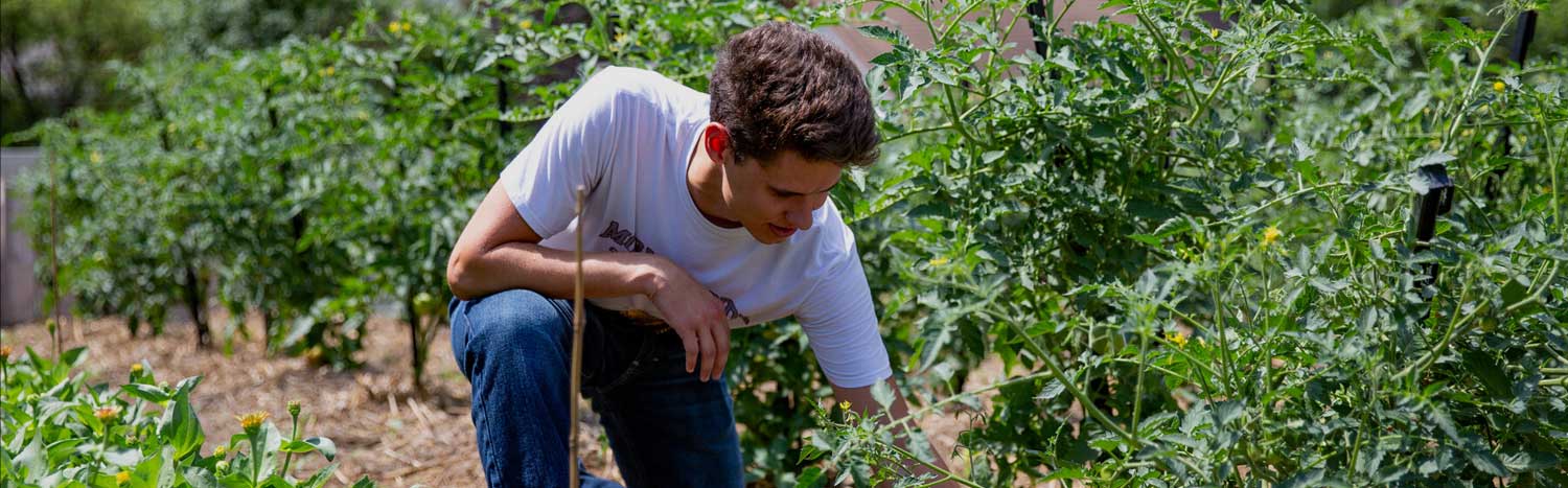 Student Kneeling In Campus Garden