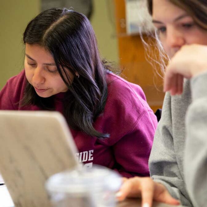 Student Studying In Library