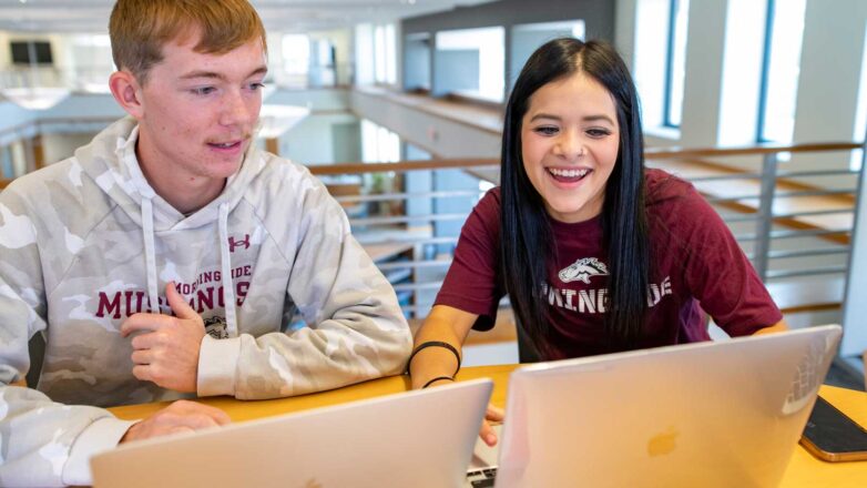 Two Students Looking At Laptops