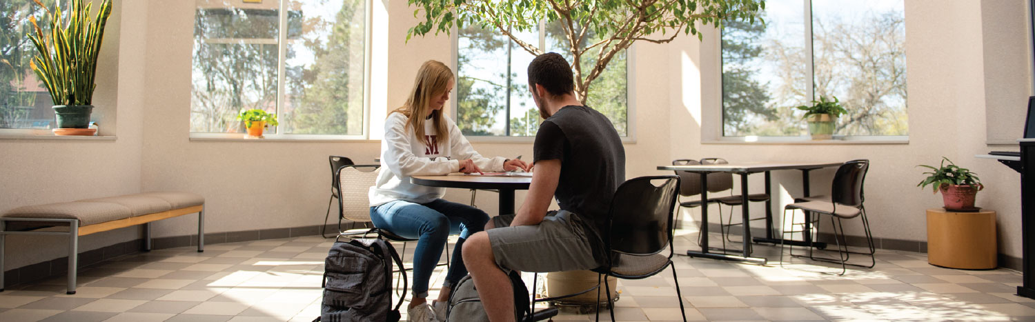 students studying in the atrium