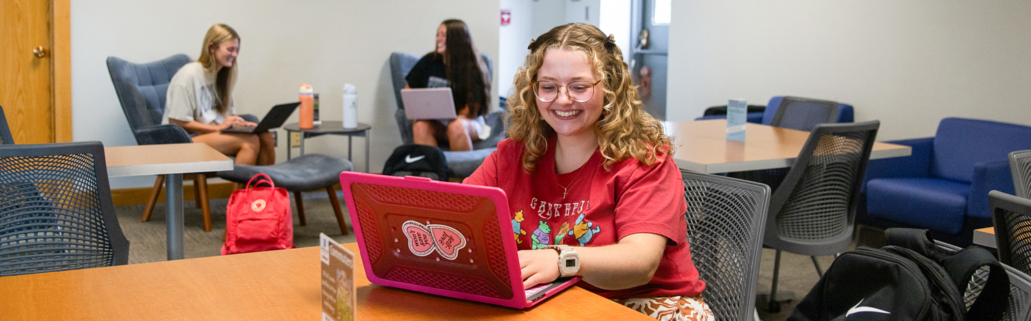 A student working in the library